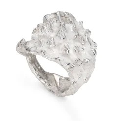 Holdfast Ring