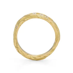Scattered Ice Ripple Ring